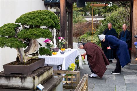Ringing in the New Year, Literally — National Bonsai Foundation