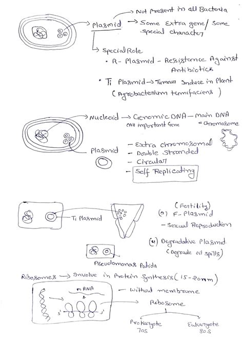 Image result for Biological Classification Class 11 Animation