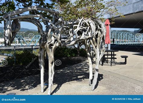 Bluff View Arts District in Chattanooga, Tennessee Editorial Stock ...