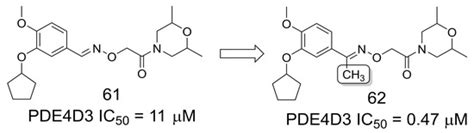 The Magic Methyl and Its Tricks in Drug Discovery and Development