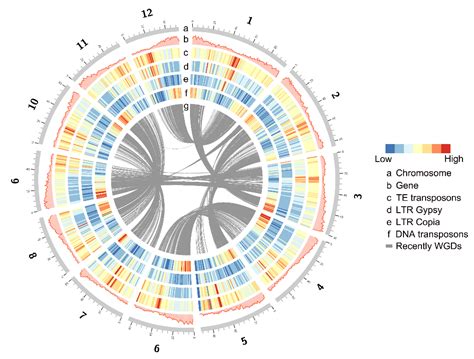 Image result for Perl Programming Language Genome