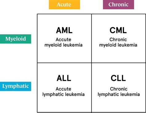 Overview and Types of Leukemia - Blood and Cardiovascular Disorders