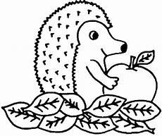 ausmalbild igel mit apfel ausmalbilder igel kostenlos malvorlagen zum ausdrucken ausmalbild igel mit apfel ausmalbilder igel kostenlos malvorlagen zum ausdrucken