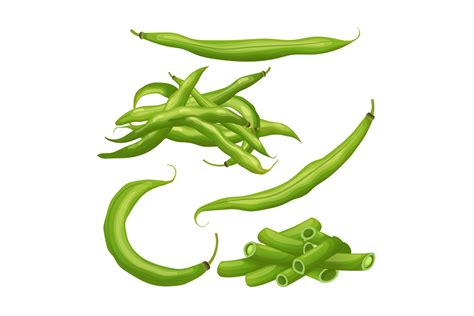 Green Beans Cartoon Drawing at Rita Ellis blog