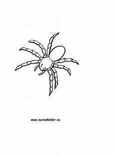 gratis malvorlagen spinnen die besten ideen f 252 r ausmalbilder spinne dengan gambar gratis malvorlagen spinnen die besten ideen f 252 r ausmalbilder spinne dengan gambar