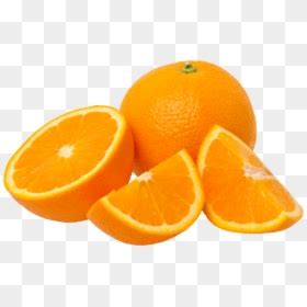 Image result for Webhook Example Python