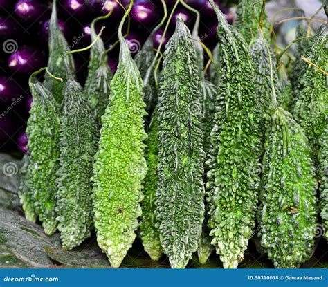 Karela In English