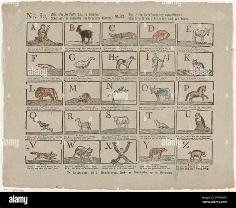 To celebrate your Learning Lust Bot / see known and foreign animals ...