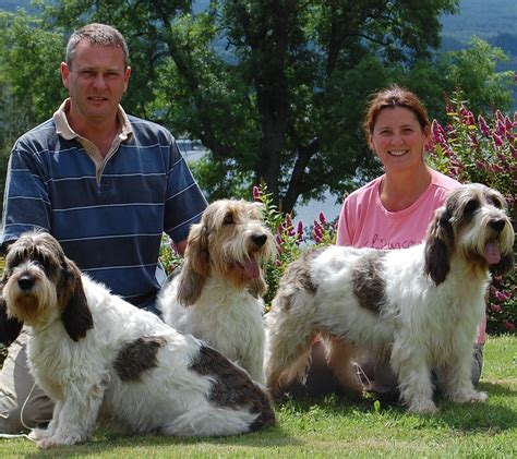 Welcome to bassetgriffonvendeen.co.uk