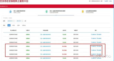 北京社保新系统现已上线，全业务全环节一网办理_变化_单位_申报
