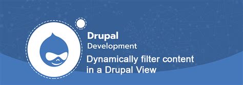 Dynamically filter content in a Drupal View | SoftDecoder