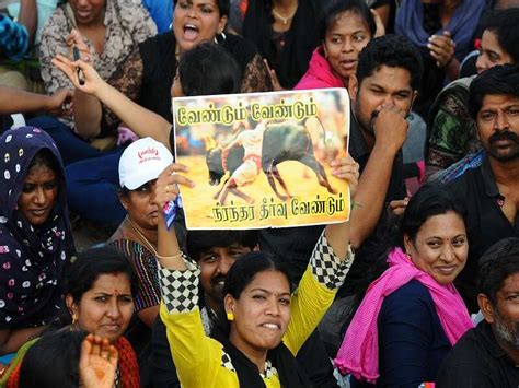 Jallikattu protests in Tamil Nadu: 10 developments- The Times of India