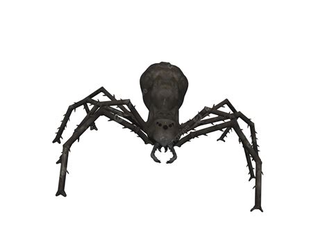 Black Scary Spider With Many Legs Horror, Hairy, Disgust, Horror PNG ...