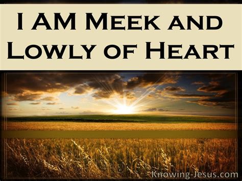 Image result for Meekness Examples