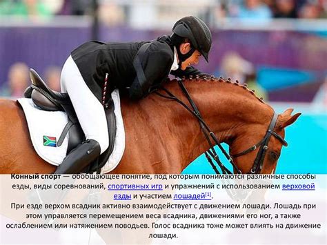 Экстремальные виды спорта. Конный спорт - презентация онлайн