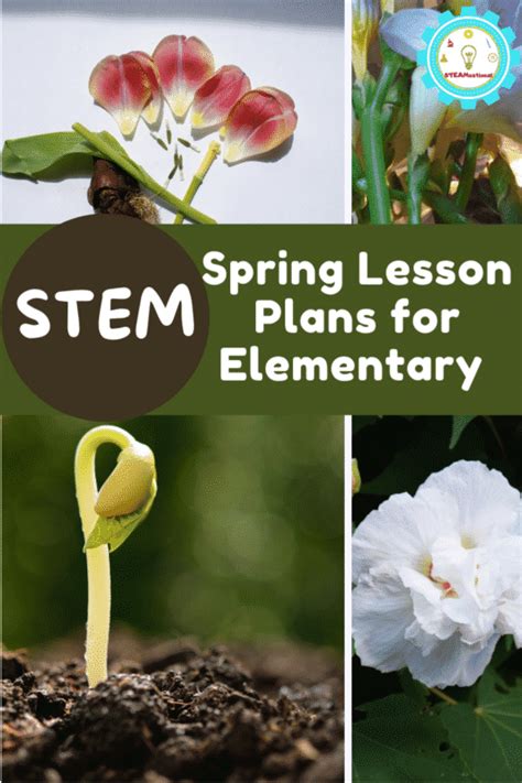 Image result for Spring Lessons