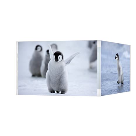 Image result for CSS3 Animation Examples with Code