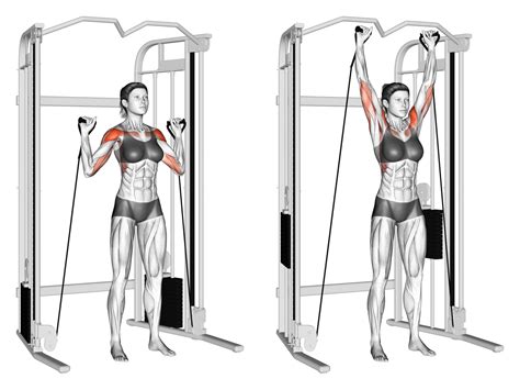 6 Best Cable Machine Shoulder Exercises (with Pictures!) - Inspire US