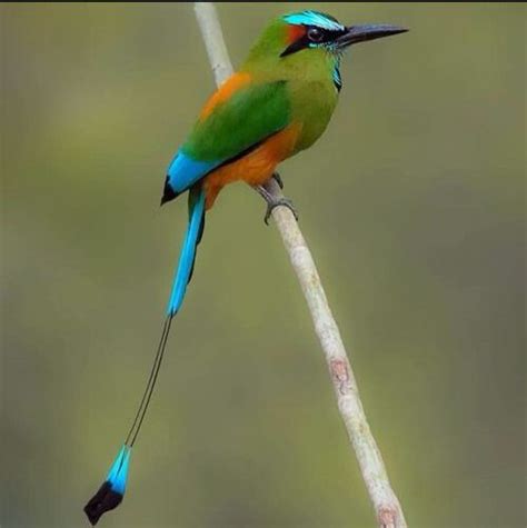 Image result for Java Design Paetterns