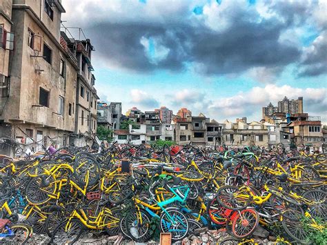 In Pictures: China's Discarded Rental Bicycles