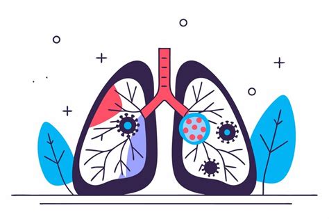 Дыхательная система человека, структура легких, легочные бронхиолы и ...