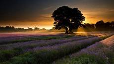 Desktop Free Wallpapers by Free Wallpapers Best Wallpapers Desktop Free Wallpapers