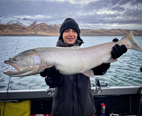 Lahontan Cutthroat Trout Pyramid Lake