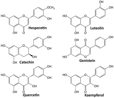 A Review of Medicinal Plants with Renoprotective Activity in Diabetic ...