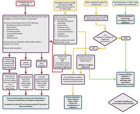 Sepsis | Definition & Recognition | Sepsis 6 | Geeky Medics