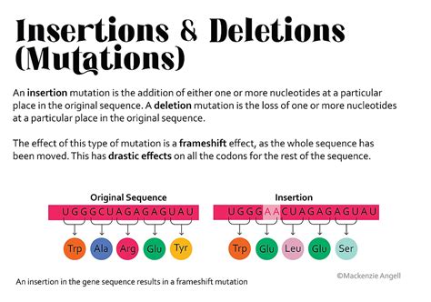 Image result for Stop Codons Nonsense Mutations