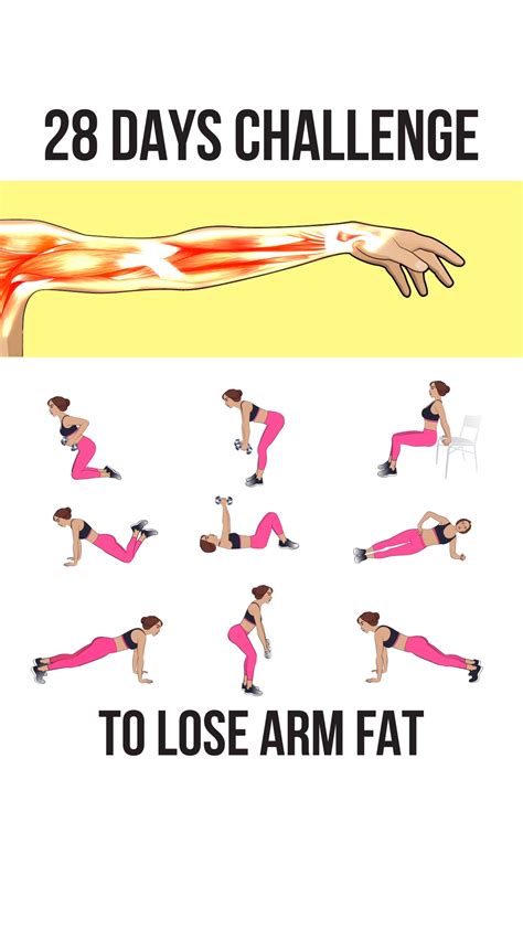 Image result for Exercices Musculation Bras