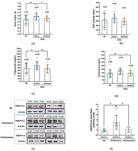 The Citrus Flavonoid Nobiletin Downregulates Angiopoietin-like Protein ...