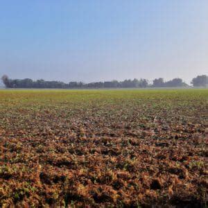 Image result for Mystical Agriculture Tutorial