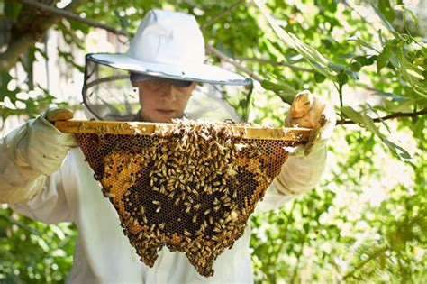 Local Hardware Store 的图像结果