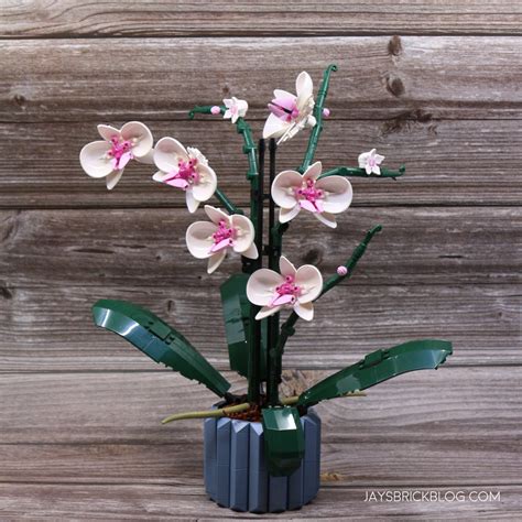 lego orchid Archives - Jay's Brick Blog