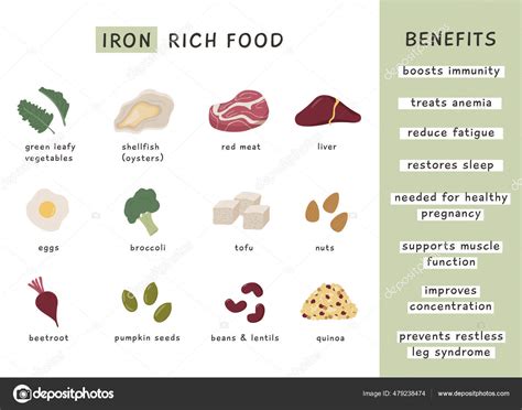 Fuentes Alimentos Ricos Hierro Beneficios Cartel Infográfico Para Nutricionista Nutrición Vector ...