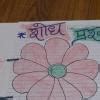 Reason why only six states have legislative council in india & not the ...