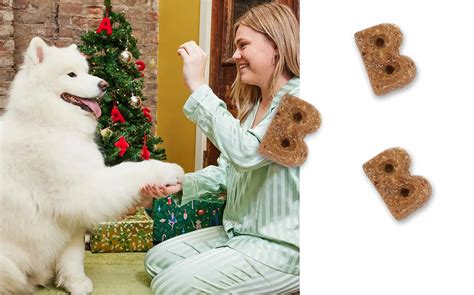 Bocce's Bakery - Nutcracker Crunch Dog Treats | ARMOR THE POOCH
