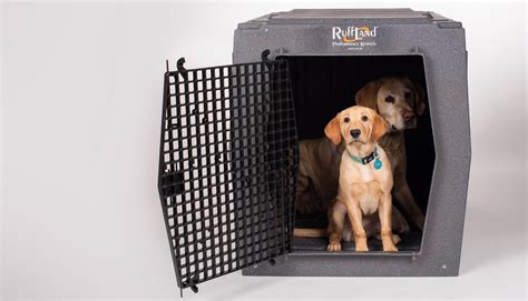 Wildlife conservation and dog training