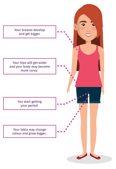 Changes In Puberty For Girls Physical Changes That Occur During