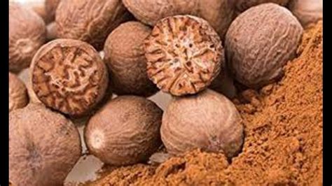 Jaji kaya nutmeg amazing health benefits in telugu pa| Nutmeg Benefits ...