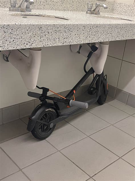 UCSD at its finest : r/UCSD