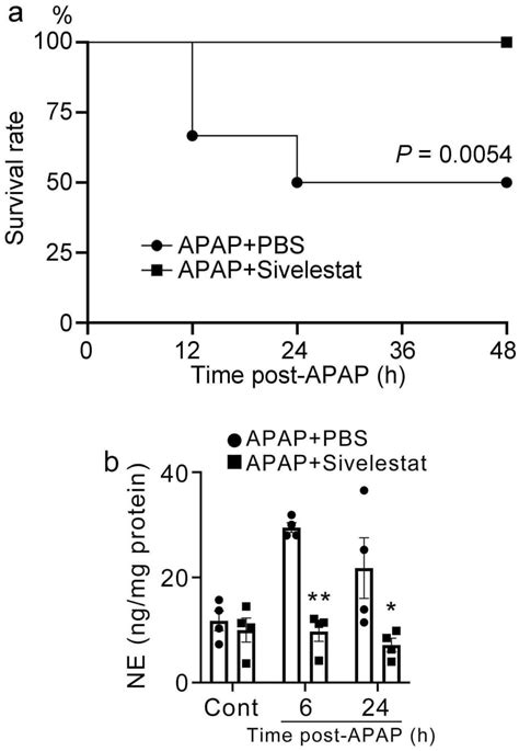 Essential Involvement of Neutrophil Elastase in Acute Acetaminophen ...