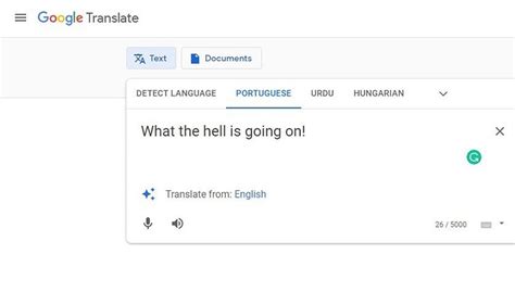 Google Translate Tricks 的图像结果