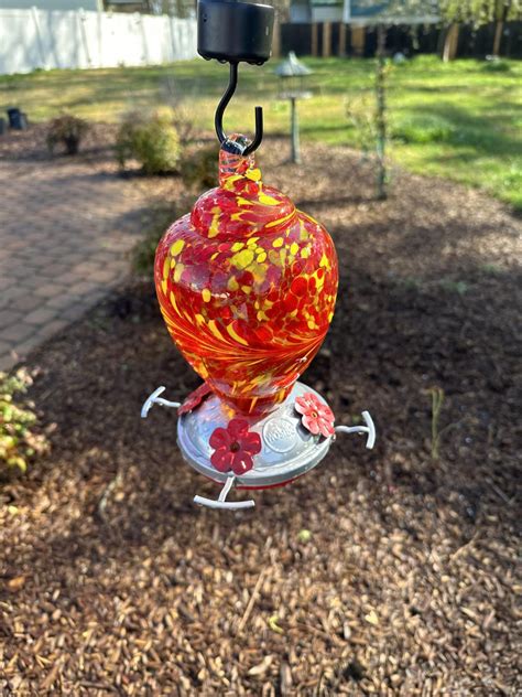 Will today be the day? It will be 76F in TN today and my 3 feeders are ...