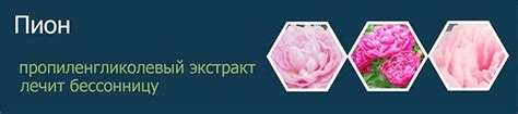 ПИОН ЭКСТРАКТ ПРОПИЛЕНГЛИКОЛЕВЫЙ (КОРНИ И КОРНЕВИЩЕ)
