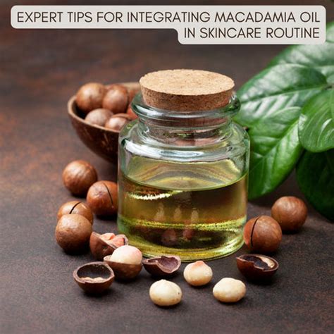 Rejuvenate Your Skin with the Magic of Macadamia Oil | Clinikally