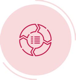 INFOGRAPHIC - Colorise