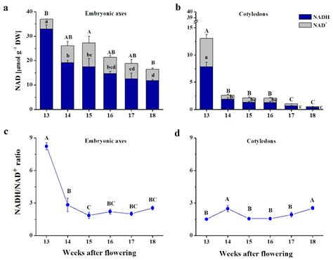NAD(P)H Drives the Ascorbate–Glutathione Cycle and Abundance of ...