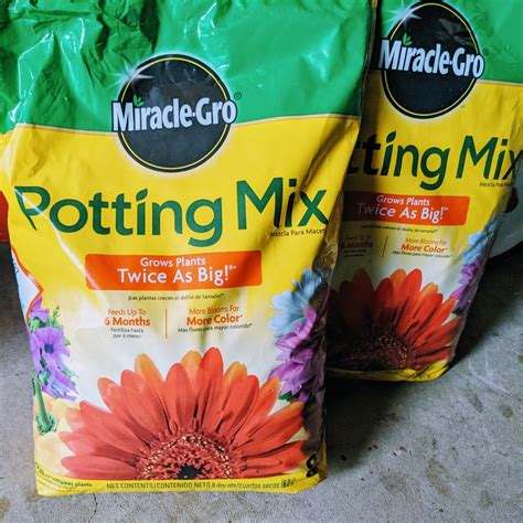 Miracle Gro Potting Soil Review & Tips (2025)